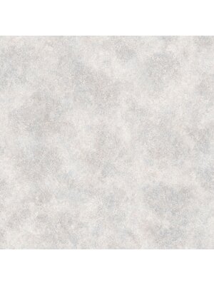 Special FX 2 Behang met metallic betonlook - G67695