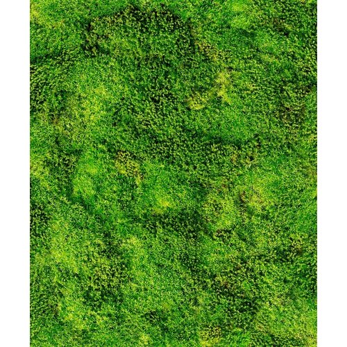 10,05m x 53cm 10,05m x 53cm