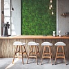Noordwand Textura Behang mosmuur - 1545733 Noordwand Textura Behang mosmuur - 1545733