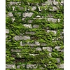 Noordwand Textura Behang stenen muur met mos - 1545731
