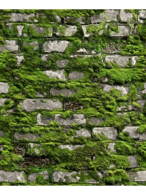 Noordwand Textura Behang stenen muur met mos - 1545731