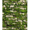 Noordwand Textura Behang stenen muur met mos - 1545732