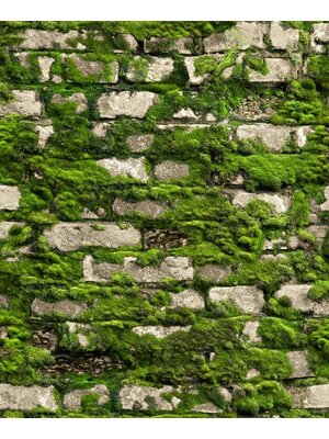 Noordwand Textura Behang stenen muur met mos - 1545732