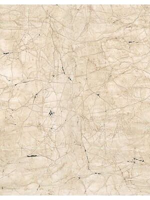 Noordwand The New Design Book Fotobehang craquelÃ© beton - 32756