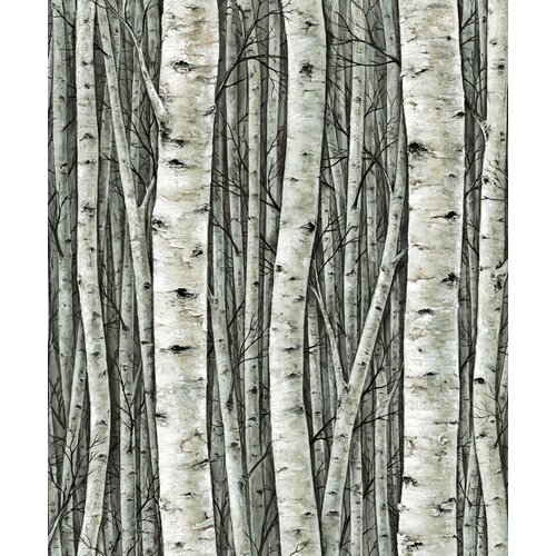 10,05m x 53cm