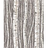Timber Behang met berkenbomen - 35394