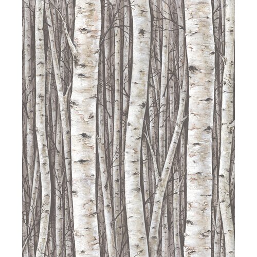 10,05m x 53cm