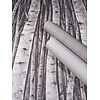 Timber Behang met berkenbomen - 35394