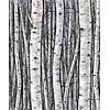 Timber Behang met berkenbomen - 35397