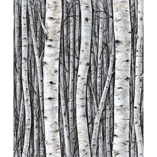 10,05m x 53cm