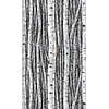Timber Fotobehang met berkenbomen - 35395