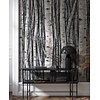 Timber Fotobehang met berkenbomen - 35395
