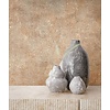 TopChic 2023-2025; City Glow; The New Textures Book Behang met metallic betonstuc look - 34269