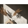 TopChic 2023-2025; City Glow; The New Textures Book; City Romance Metallic wit behang met structuur - 34272