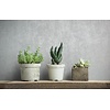 TopChic 2023-2025; Jackie Behang met metallic beton ciré structuur - 6826-30