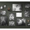 Vanilla Lime Fotobehang Black Out - 014102
