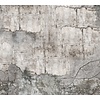 Vanilla Lime Fotobehang Concrete Wall - 014332