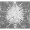Vanilla Lime Fotobehang Cosmic - 014126