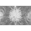 Vanilla Lime Fotobehang Cosmic - 014127