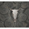 Vanilla Lime Fotobehang Countryfied - 014252