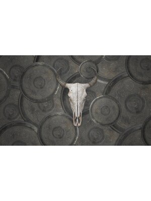 Vanilla Lime Fotobehang Countryfied - 014253