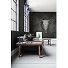 Vanilla Lime Fotobehang Countryfied - 014253