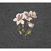 Vanilla Lime Fotobehang Daydreams - 014276