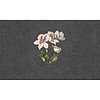Vanilla Lime Fotobehang Daydreams - 014277