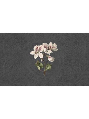 Vanilla Lime Fotobehang Daydreams - 014277