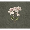 Vanilla Lime Fotobehang Daydreams - 014278