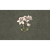 Vanilla Lime Fotobehang Daydreams - 014279