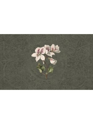 Vanilla Lime Fotobehang Daydreams - 014279