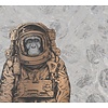 Vanilla Lime Fotobehang Space Monkey - 014212