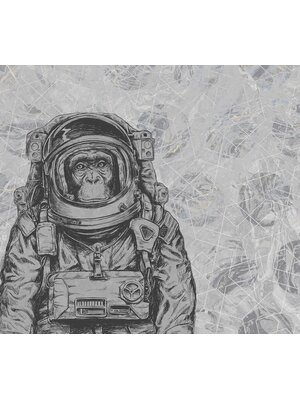 Vanilla Lime Fotobehang Space Monkey - 014214 Vanilla Lime Fotobehang Space Monkey - 014214