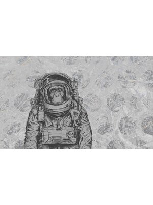 Vanilla Lime Fotobehang Space Monkey - 014215 Vanilla Lime Fotobehang Space Monkey - 014215