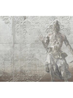 Vanilla Lime Fotobehang Warrior - 014228