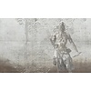 Vanilla Lime Fotobehang Warrior - 014229