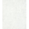 Loft; The New Textures Book Behang met beton stuc look - 34184