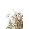 Fotobehang aquarel droogbloemen boeket - 35797 Fotobehang aquarel droogbloemen boeket - 35797