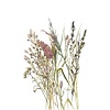 Fotobehang aquarel droogbloemen boeket - 35798 Fotobehang aquarel droogbloemen boeket - 35798