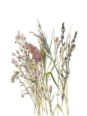 Fotobehang aquarel droogbloemen boeket - 35798