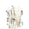 Fotobehang aquarel droogbloemen boeket - 35799 Fotobehang aquarel droogbloemen boeket - 35799