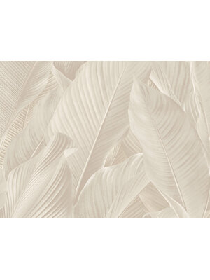 Tahiti - Banya lichtbeige - 13302