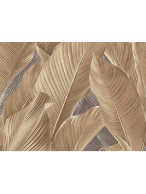 Tahiti - Banya beige - 13303 Tahiti - Banya beige - 13303