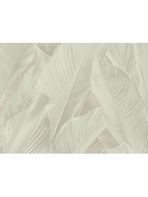 Tahiti - Banya creme - 13305
