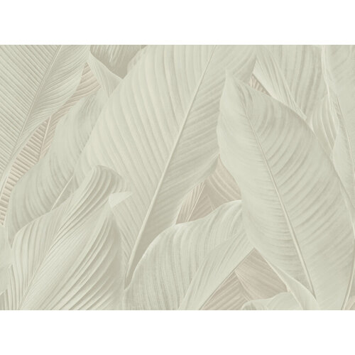 10,05m x 53cm 10,05m x 53cm
