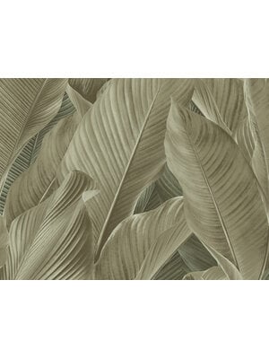 Tahiti - Banya groen/beige - 13306 Tahiti - Banya groen/beige - 13306