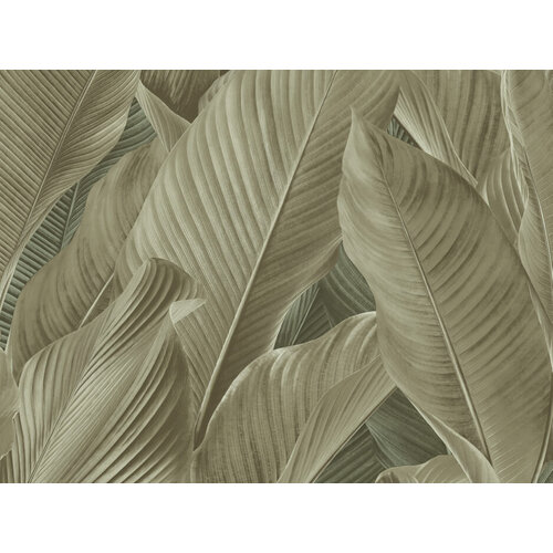 10,05m x 53cm