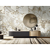 FC Carrara 4- mural 500x300cm - 85658 FC Carrara 4- mural 500x300cm - 85658