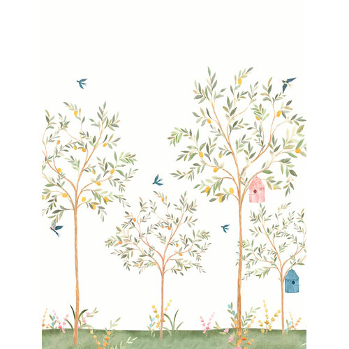 2,8m x 2,12m 2,8m x 2,12m